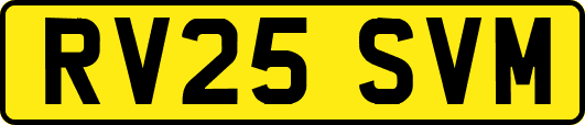 RV25SVM
