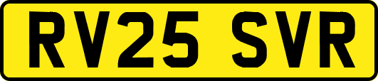RV25SVR