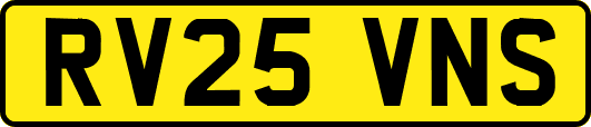 RV25VNS