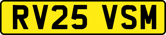 RV25VSM