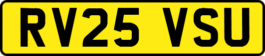 RV25VSU