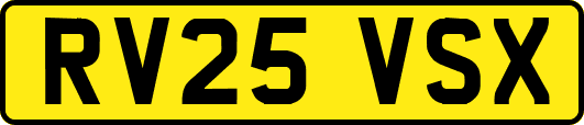 RV25VSX