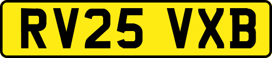 RV25VXB
