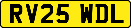 RV25WDL