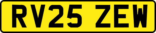 RV25ZEW