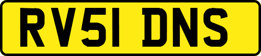 RV51DNS