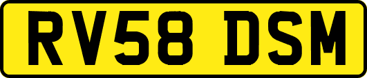 RV58DSM