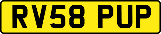 RV58PUP