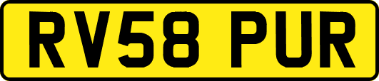RV58PUR