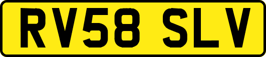 RV58SLV