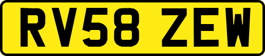 RV58ZEW