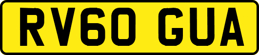 RV60GUA