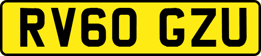RV60GZU