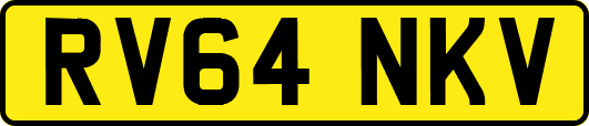 RV64NKV