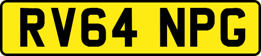 RV64NPG