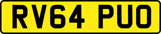 RV64PUO