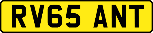 RV65ANT