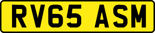RV65ASM