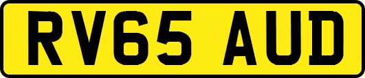 RV65AUD