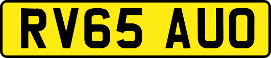 RV65AUO