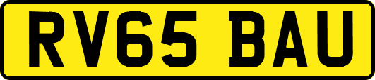 RV65BAU