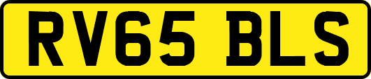 RV65BLS