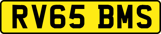 RV65BMS