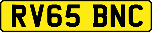 RV65BNC