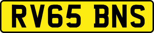 RV65BNS
