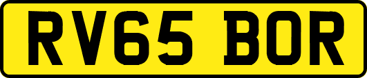 RV65BOR