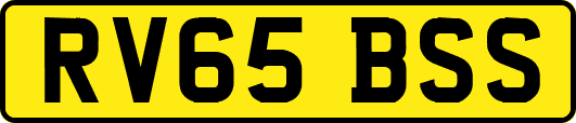 RV65BSS