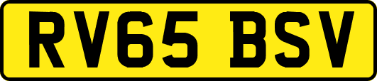 RV65BSV