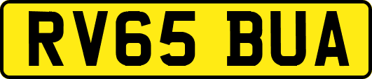 RV65BUA