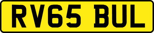 RV65BUL