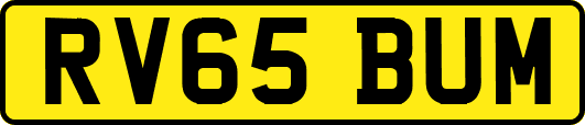 RV65BUM