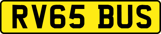 RV65BUS