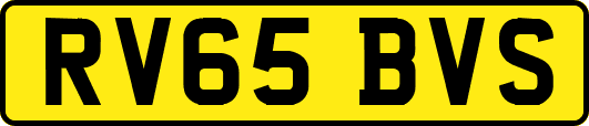 RV65BVS