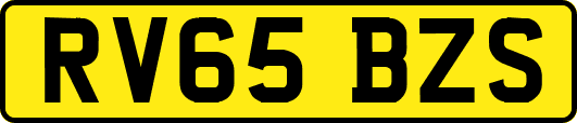 RV65BZS