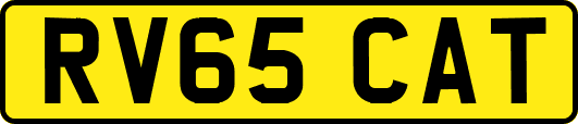 RV65CAT