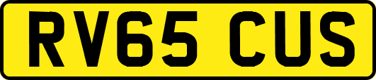 RV65CUS
