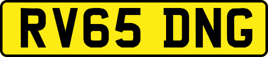 RV65DNG