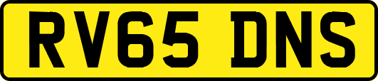 RV65DNS