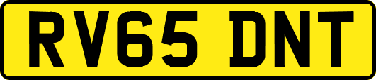 RV65DNT