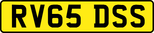 RV65DSS