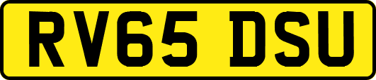 RV65DSU