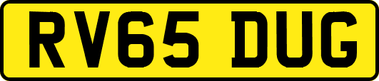 RV65DUG