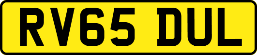 RV65DUL