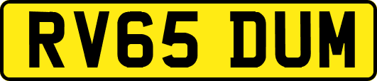 RV65DUM