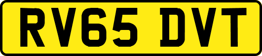 RV65DVT