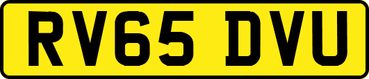 RV65DVU